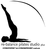 Master Plus Gyro logo