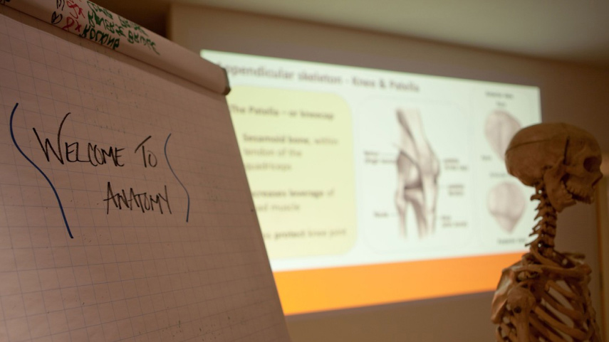 Dans le monde de l’enseignement du fitness, un aspect souvent négligé mais crucial est une compréhension approfondie de l’anatomie. Cette connaissance constitue le fondement de