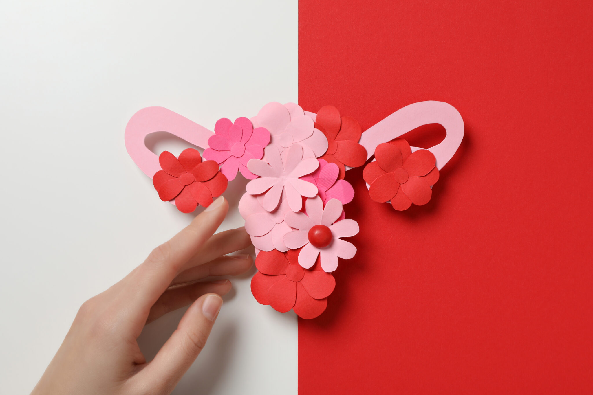 A hand touches a paper cutout of a uterus decorated with pink and red flowers, placed on a split white and red background.
