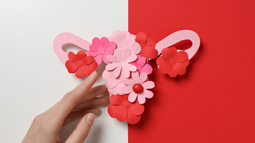 Une main touche une silhouette en papier représentant un utérus décoré de fleurs roses et rouges, placée sur un fond blanc et rouge divisé en deux.